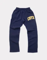 Corteiz Crtz Dropout Jogger Marine (2)